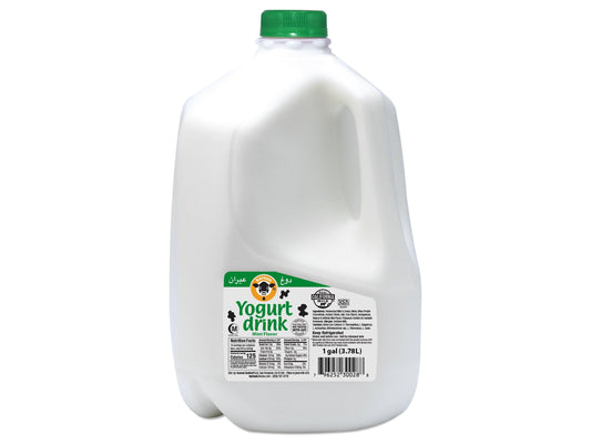 KAROUN YOGURT DRINK MINT 4/1 GAL